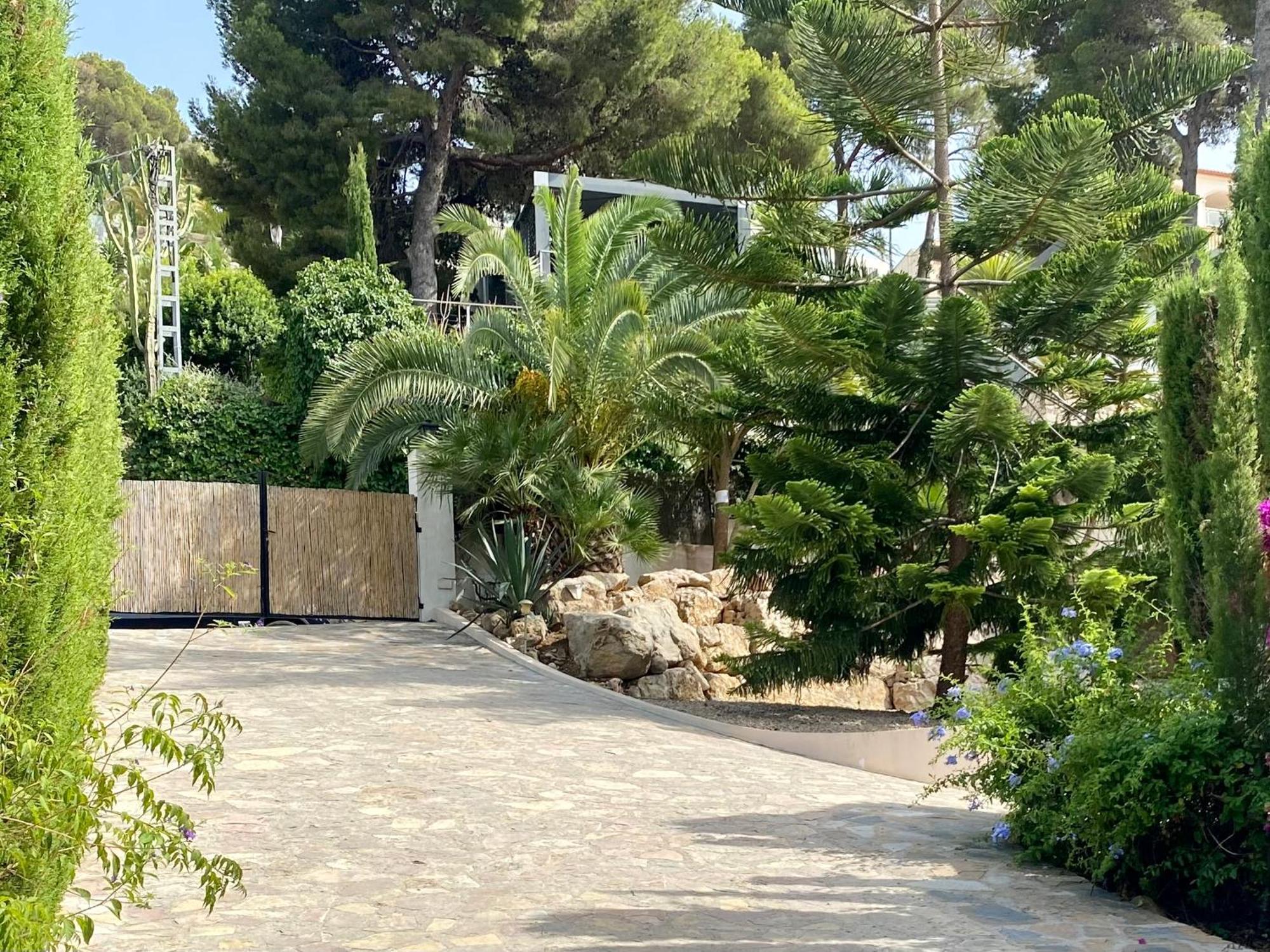 Palmera Jávea Exteriér fotografie